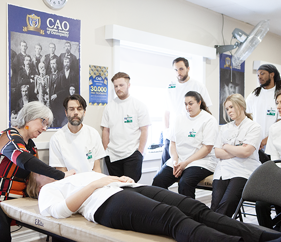 The Clinical Experience